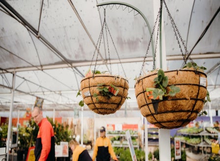 DIY Strawberry Hanging Baskets