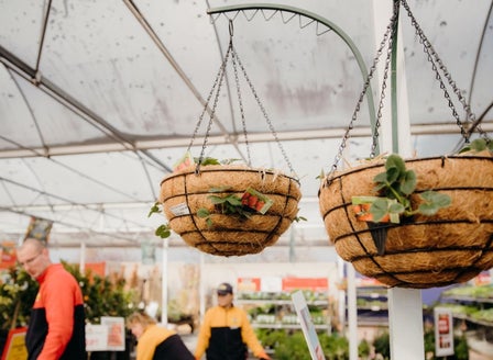 DIY Strawberry Hanging Baskets