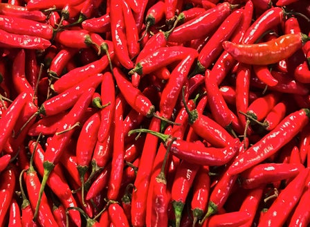 Spice Up Your Life By Growing Chillies