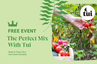 The Perfect Mix with Tui