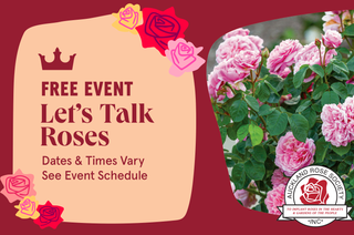 Let's Talk Roses - Auckland Rose Society