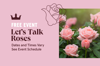 Free Event: Let's Talk Roses