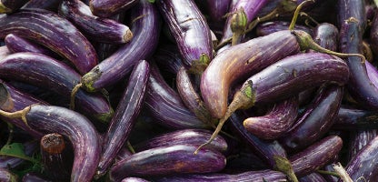 Eggplant Dok
