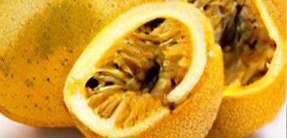 Golden Passionfruit
