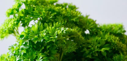 Parsley