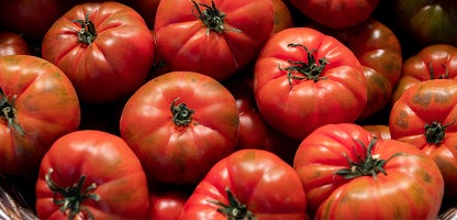 Beefsteak
