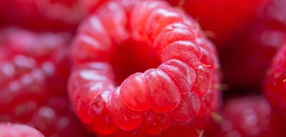 Summer and Autumn Fruiting Varieties
