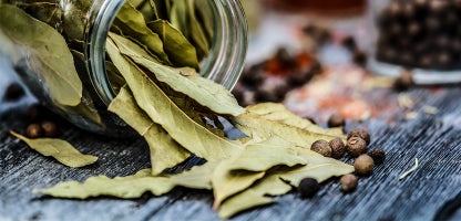 Bay Leaf