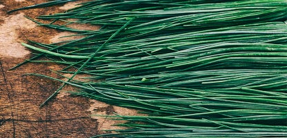 Chives