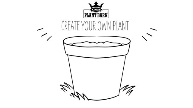 Create Your Own Plant