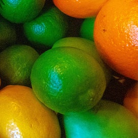 Citrus