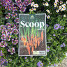 Spring Scoop 2025