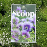 Winter Scoop Magazine