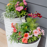 Elevate Your Garden with Spring Colour