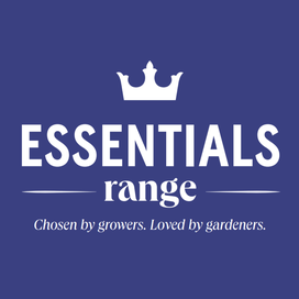 Kings Essentials Range