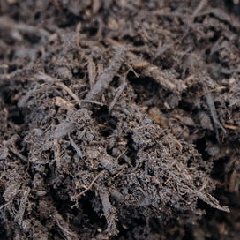 Compost