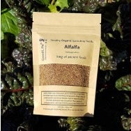 Alfalfa Seeds 100g - Organic