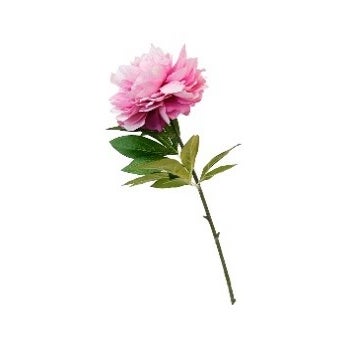Alice Peony 78cm Pink