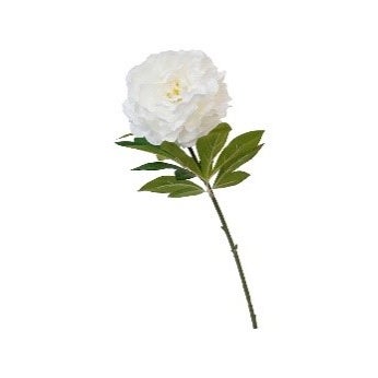 Alice Peony 78cm White