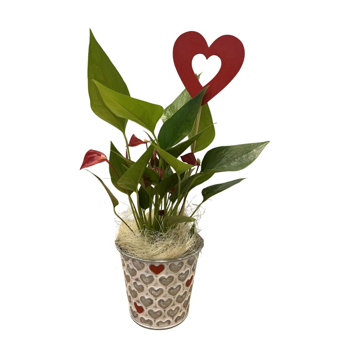 ikea fiddle leaf fig 5FT Artificial Fiddle Leaf Fig Tree in White Planter Faux IndoorOutdoor Floor Plant with Realistic Leaves for Home & Office Decor