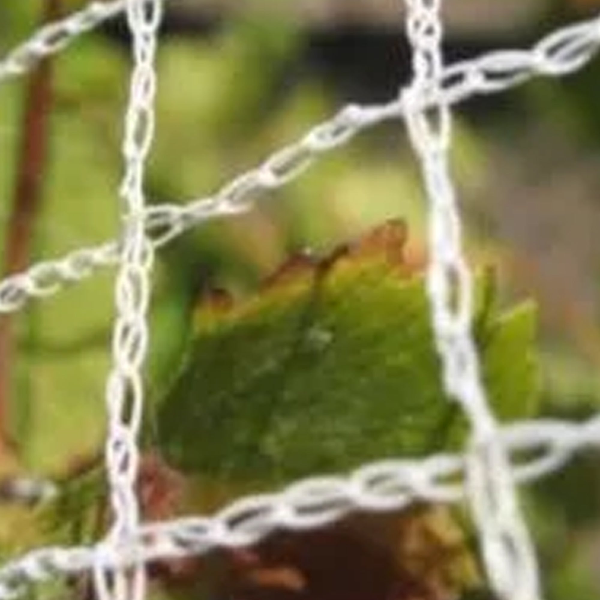 Bird Netting 4m Green | Garden Accessories | Kings Plant Barn | NZ Garden  Centres, Shop Online, Cafes