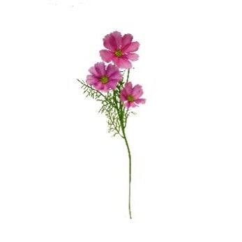 Cosmos Pink  W/3 Heads  Spray