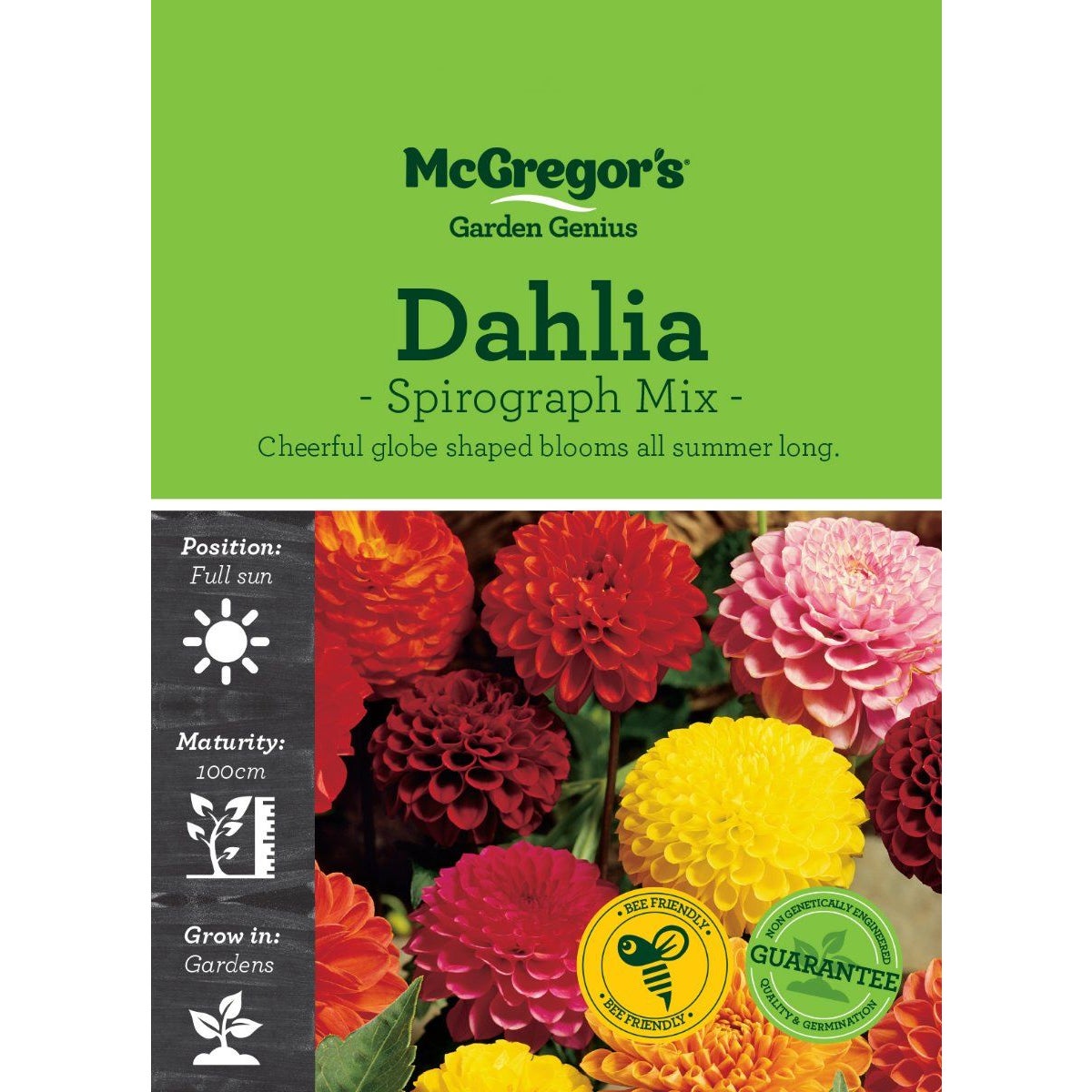 Mcgregor's Dahlia Spirograph Mix