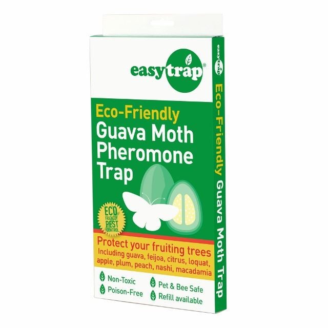 Easy Trap Guava Moth