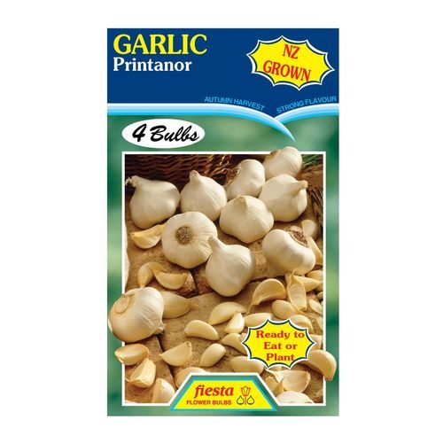 Garlic Printanor 4pk - Pack Of 4