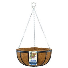 Georgian Hanging Basket