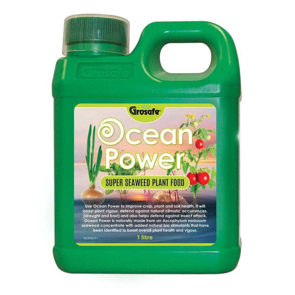 Grosafe Ocean Power Super Seaweed Plant Food - 1l