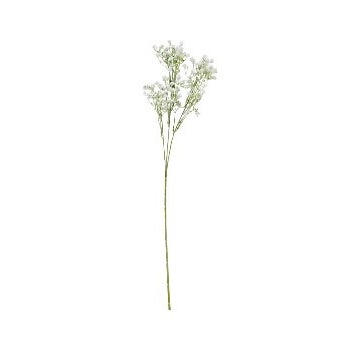 Gypsophila Spray 65cm