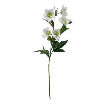 Hellebore Spray White 58cm