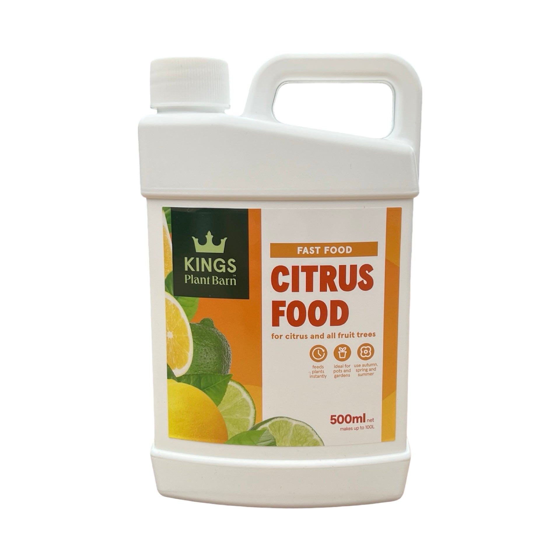 Kings Fast Food Citrus Food - 500ml