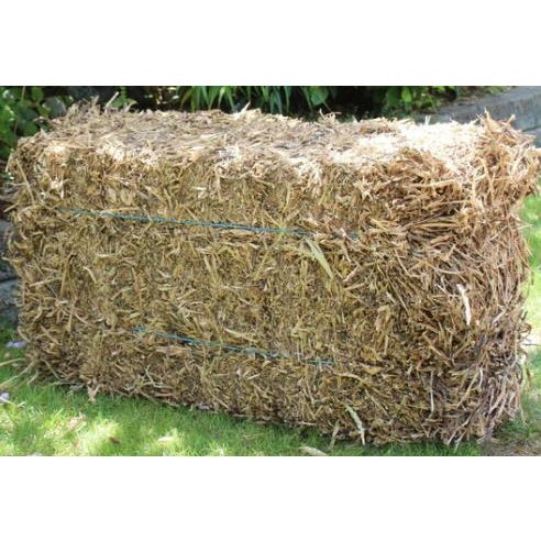 King's Premium Peastraw 11kg