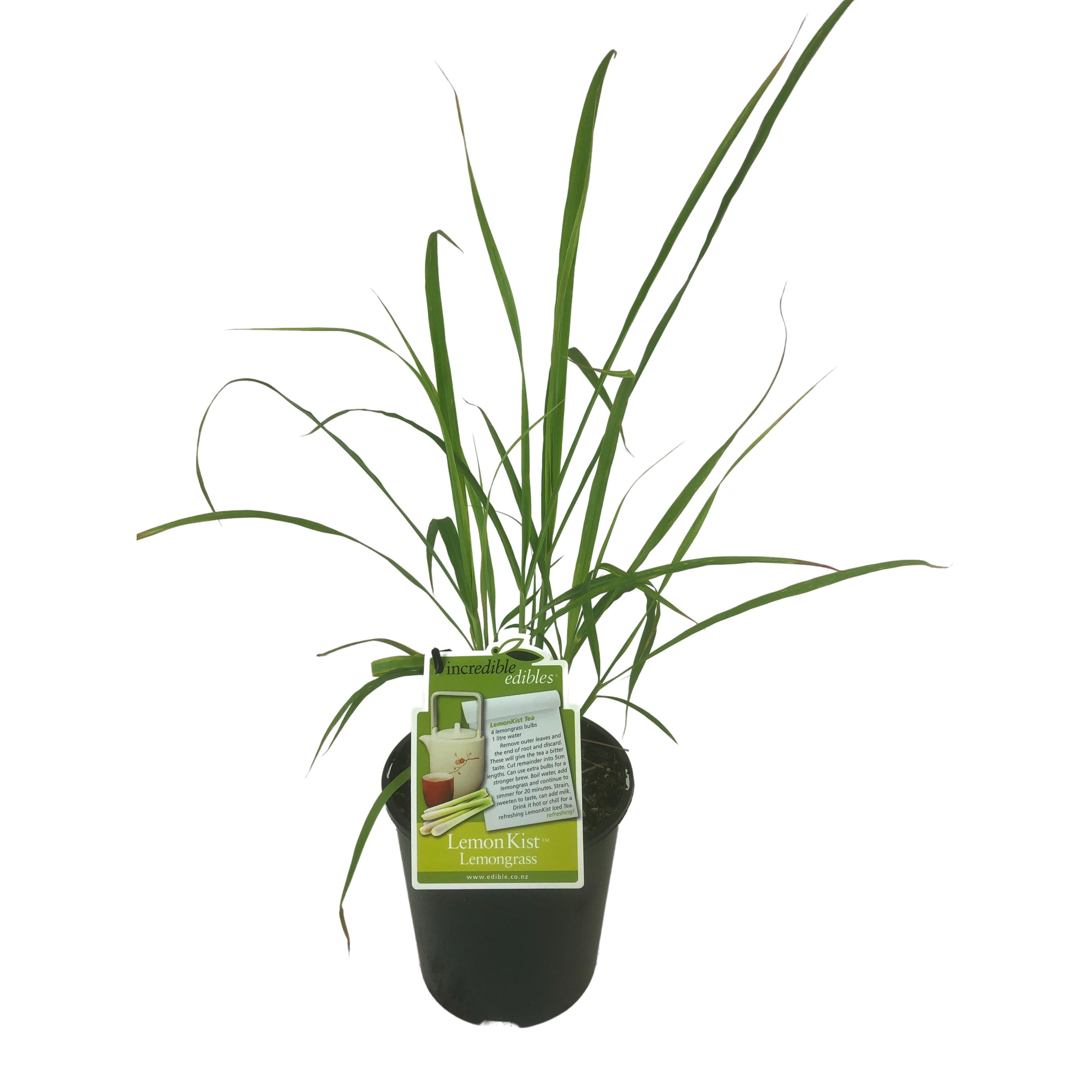 Lemongrass 'lemonkist' - 1.9l