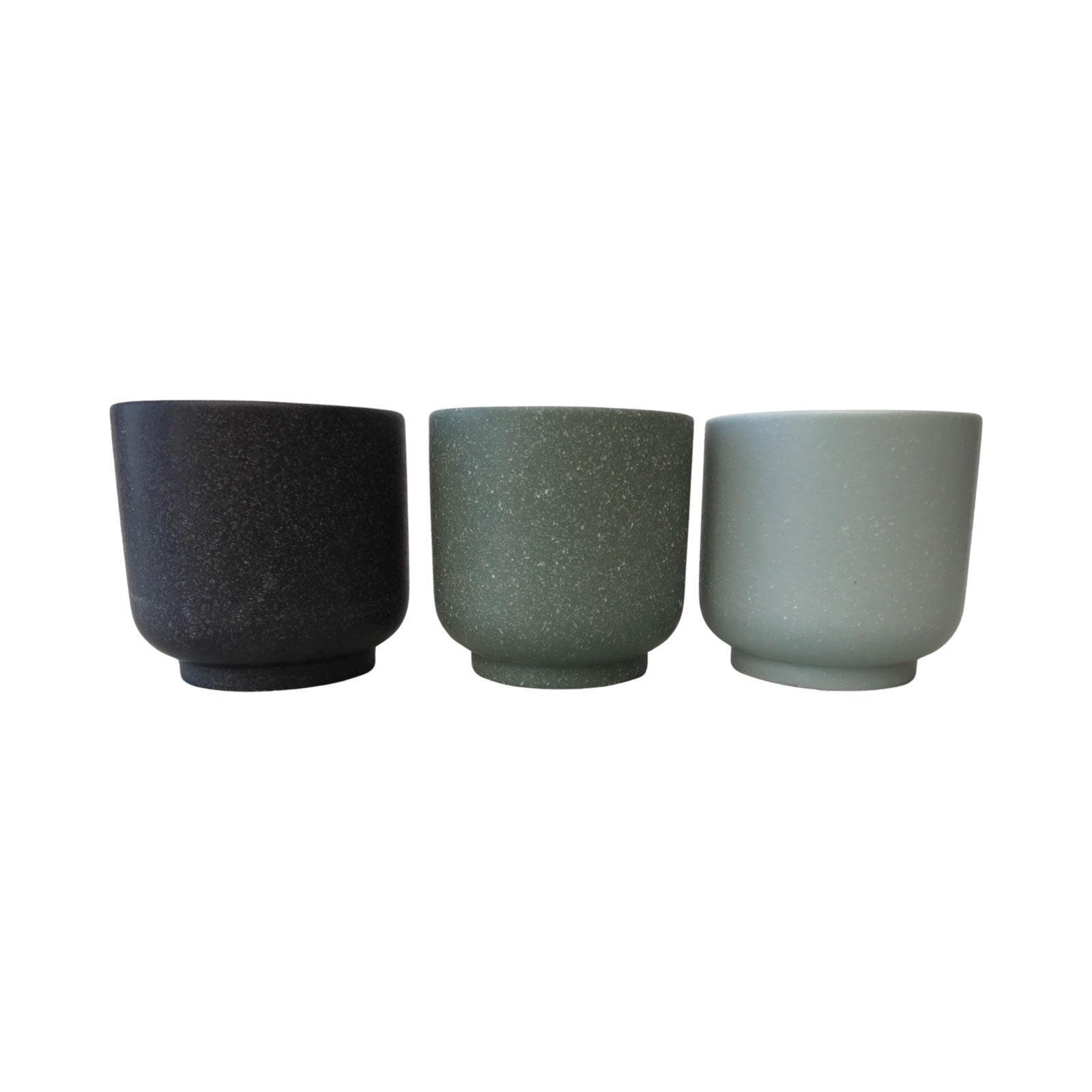 Loretto - Mixed 13cm