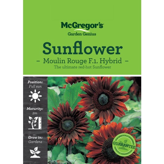 Yates Slasher Organic Weedkiller Concentrate 500ml Weed Control Kings