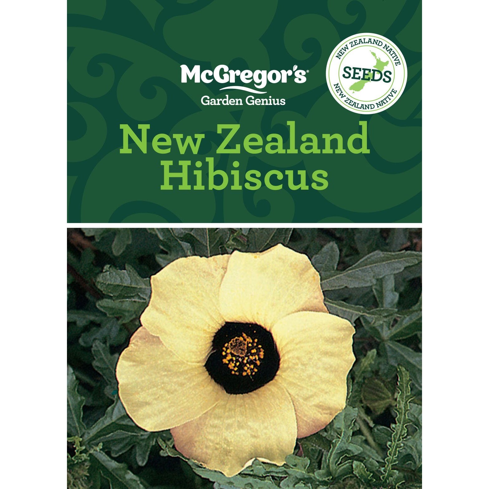 Mcgregor's Nz Native Golden Y Hibiscus
