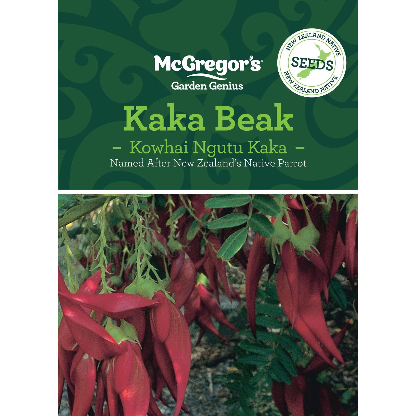 Mcgregor's Nz Native Kaka Beak Kowhai Ngutu Kaka