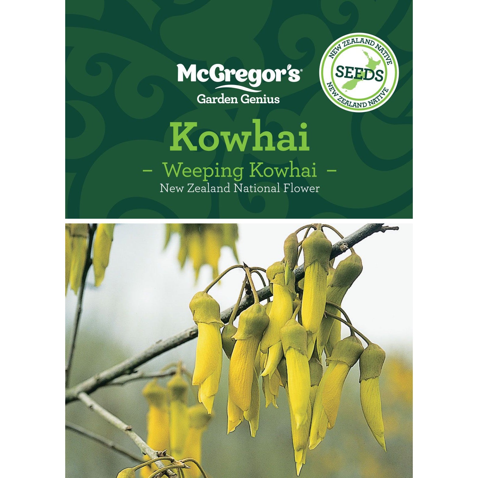 Mcgregor's Nz Native Kowhai
