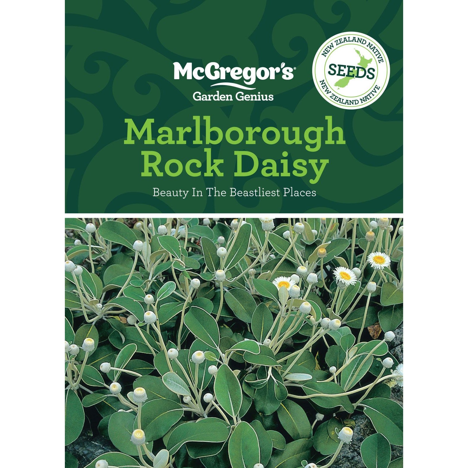 Mcgregor's Nz Native Marlborough Rock