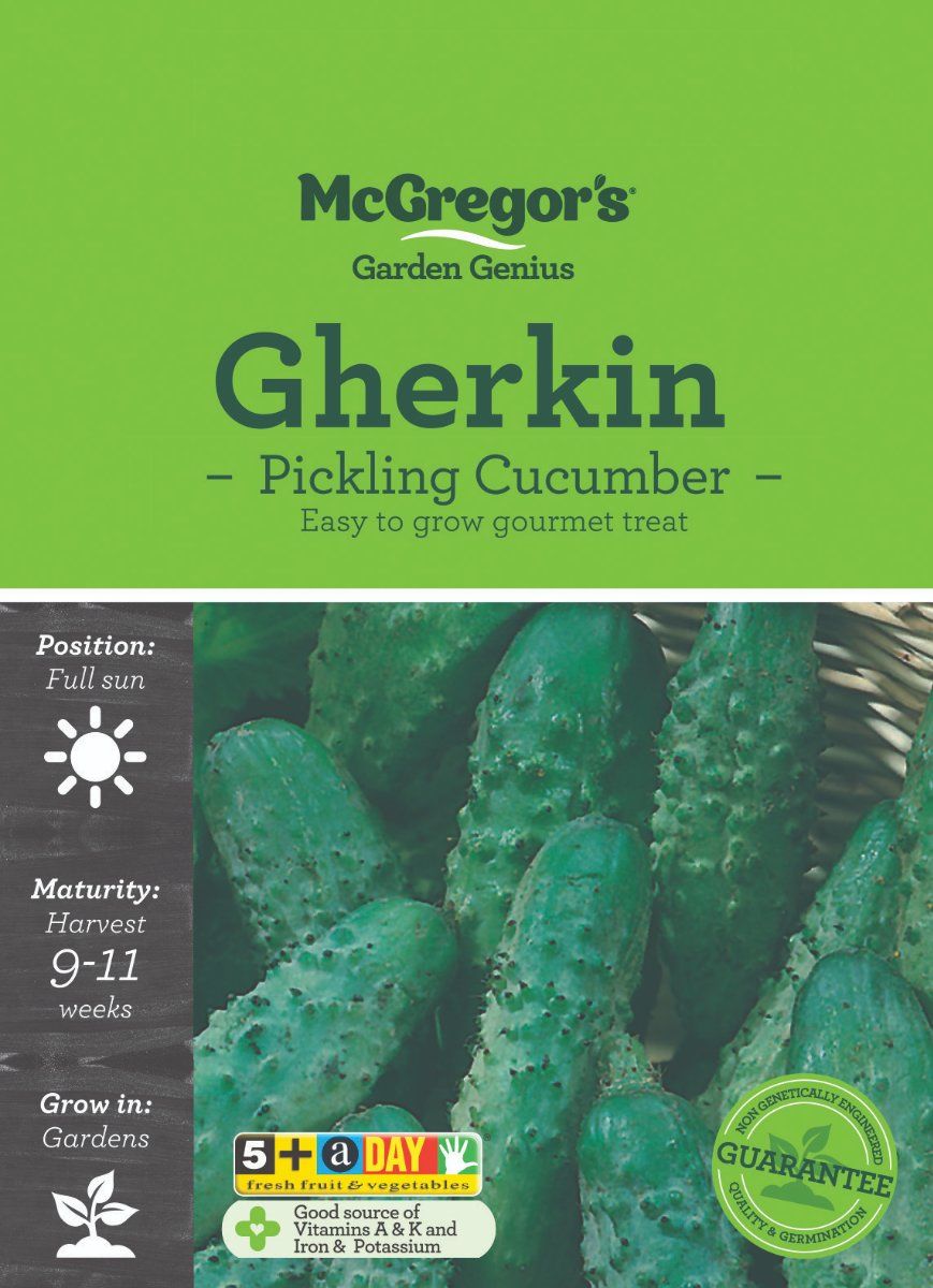 mcgregors-pickling-gherkin-