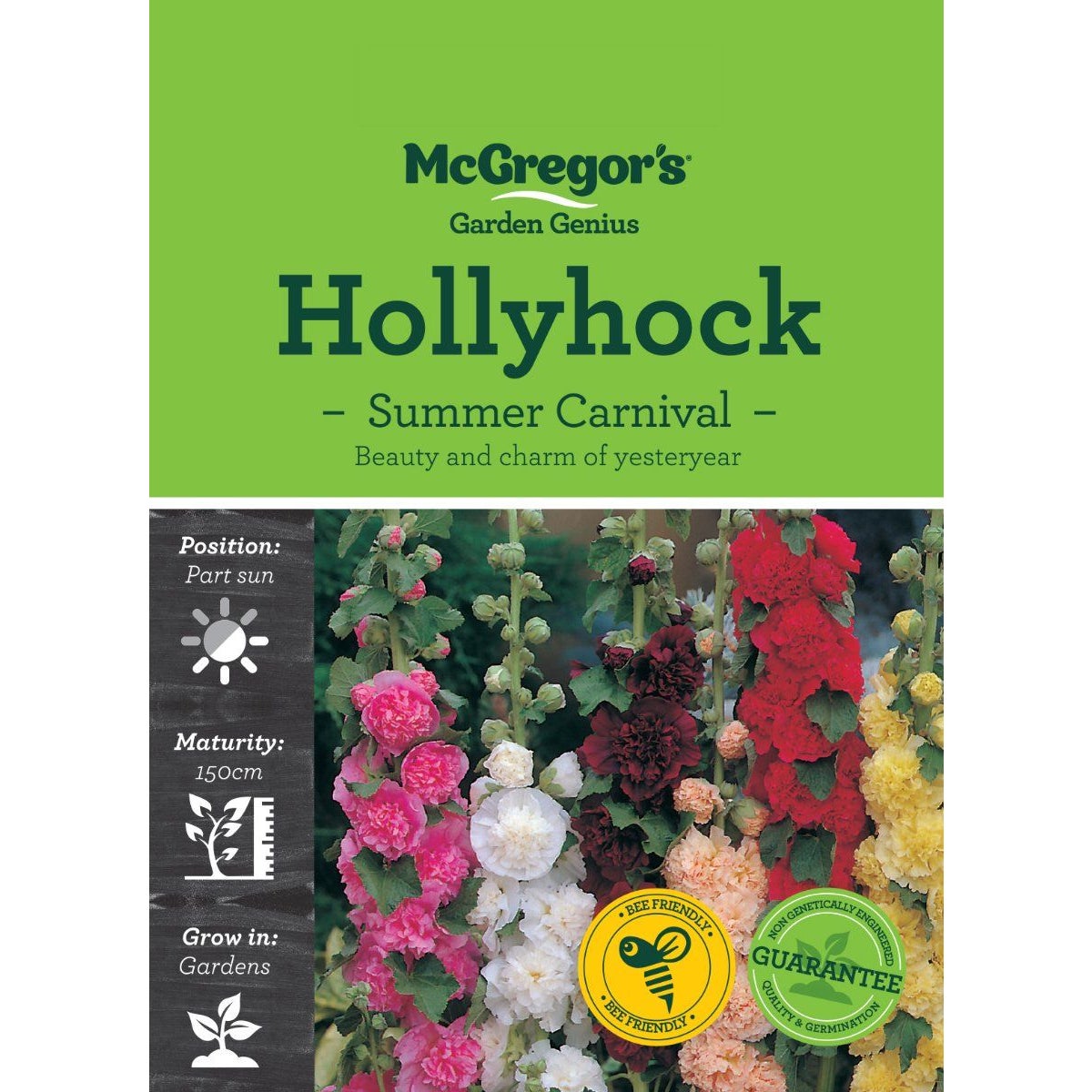 Mcgregor's Hollyhock Summer Carnival