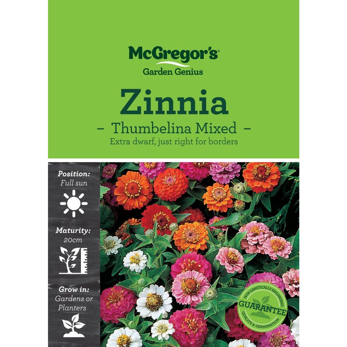 Mcgregor's Zinnia Thumbelina