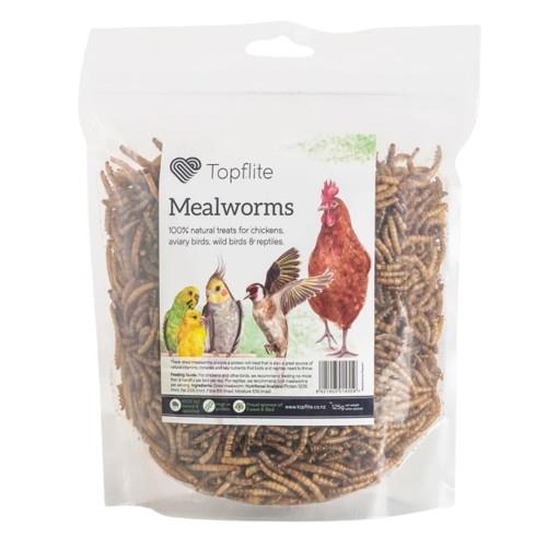 Meal Worms