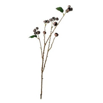 Medlar Branch Brown
