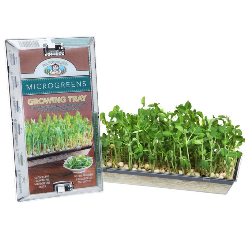 Microgreens Growing Tray