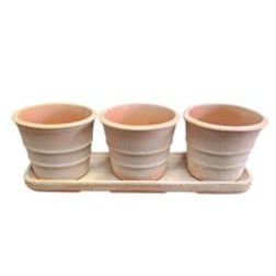 Mini Siena Kit  Pot W/tray