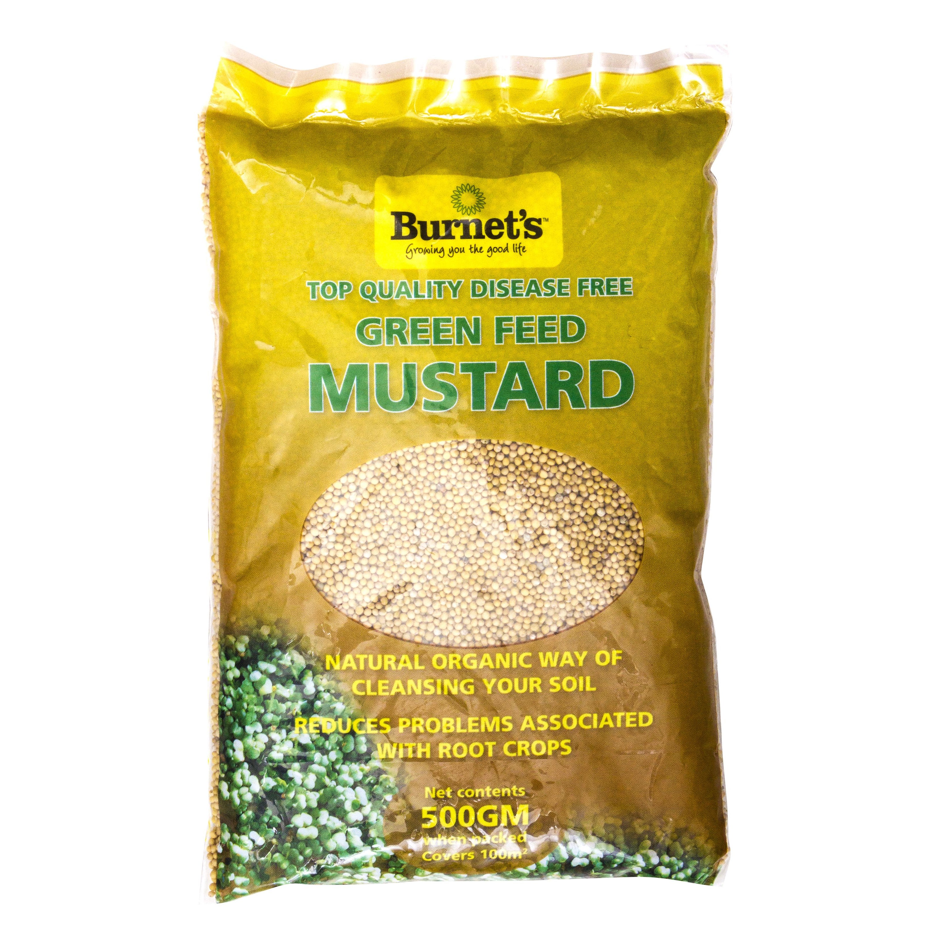 Mustard Seed - 500g